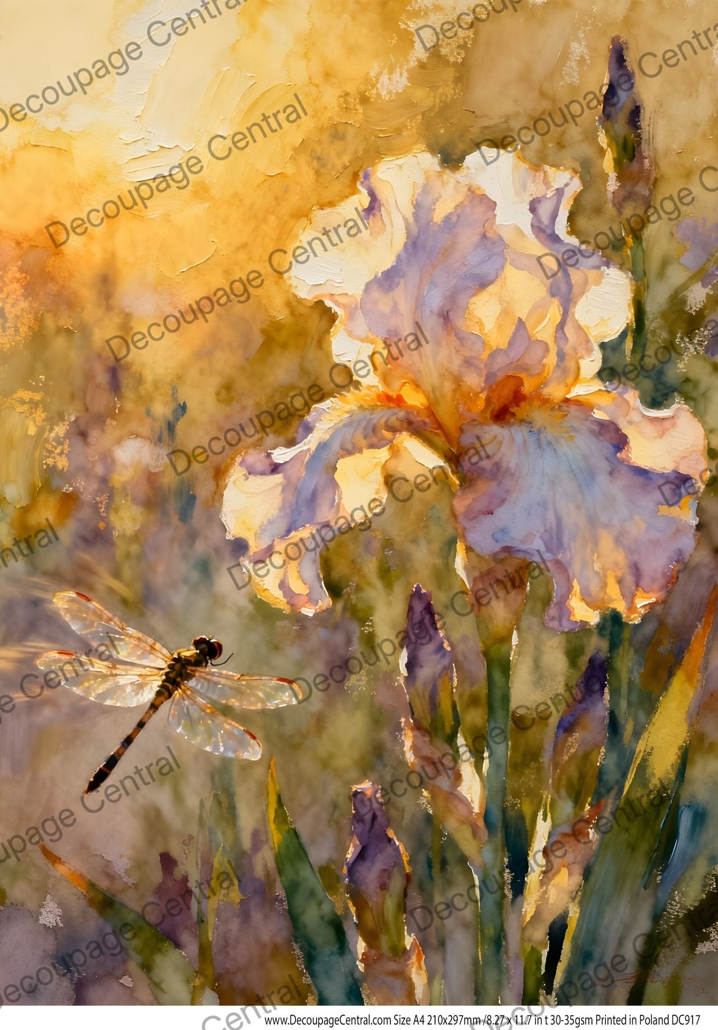A4 Golden Iris & Dragonfly Rice Paper DC917 – Decoupage Central