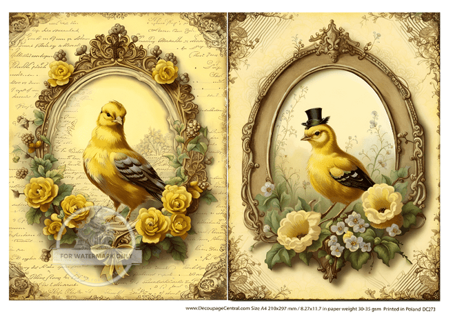 A4 Goldfinch Duo Rice Paper DC 273 - Decoupage Central