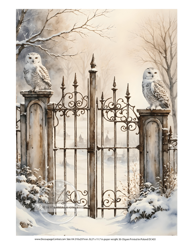 A4 Guardian Owls Rice Paper DC433 - Decoupage Central