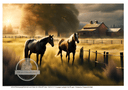 A4 Horses at Home Paper DC 300 - Decoupage Central
