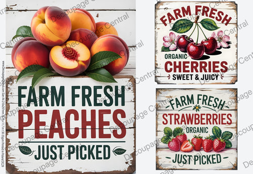 A4 Just Picked Rice Paper DC929 - Decoupage Central