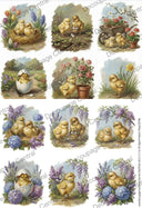 A4 Little Chicks Rice Paper DC946 - Decoupage Central