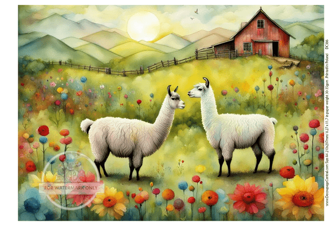 A4 Llama Love Rice Paper DC386 - Decoupage Central