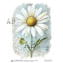 A4 LPP Daisy Dreams Paper Le Petit Paris 119 - Decoupage Central