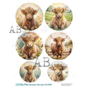 A4 Milky 1072 Highland Calf multi - Decoupage Central