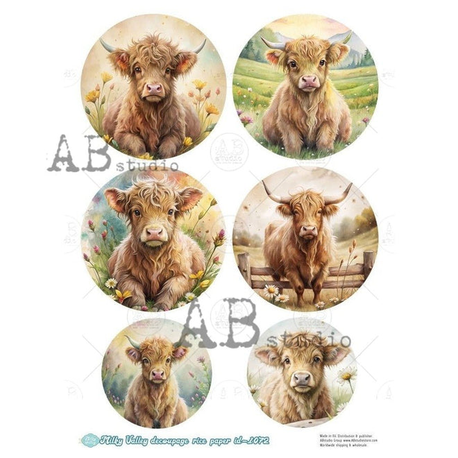 A4 Milky 1072 Highland Calf multi - Decoupage Central