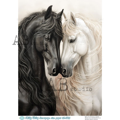 A4 Black and White Horses Duo Milky Valley ID 746