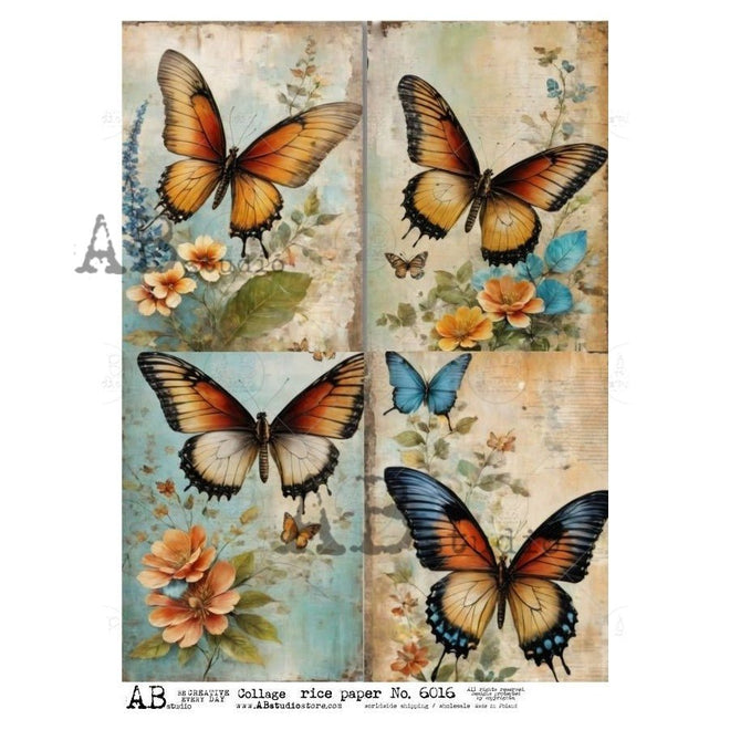 A4 Monarch Quad Rice Paper for Decoupage AB Studios 6016 - Decoupage Central