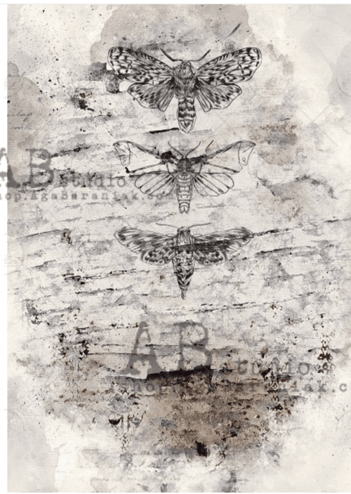 A4 Mystic Butterflies Decoupage Rice Paper, 0629 - Decoupage Central