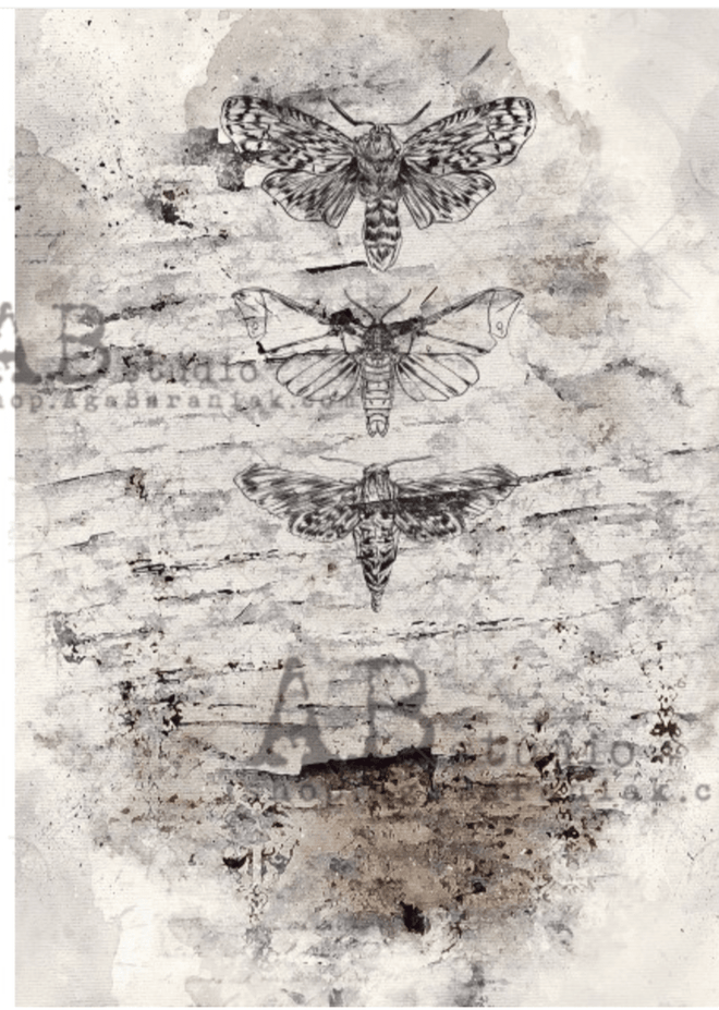 A4 Mystic Butterflies Decoupage Rice Paper, 0629 - Decoupage Central