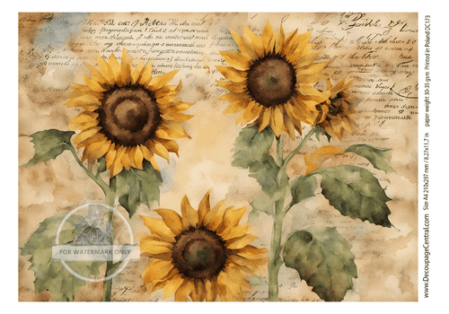 A4 Never Enough Sunflowers Rice Paper DC173 - Decoupage Central
