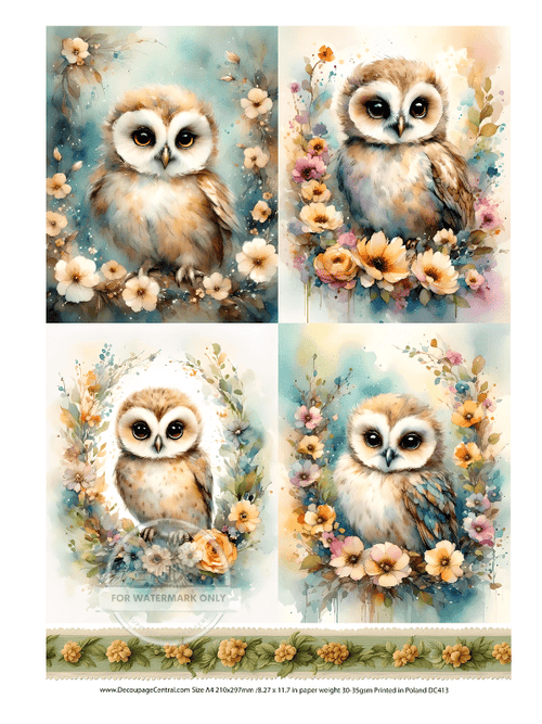 A4 Owlie Quad Rice Paper DC413 - Decoupage Central