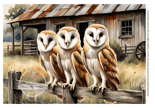 A4 Owls in a Row Decoupage Rice Paper DC315 - Decoupage Central