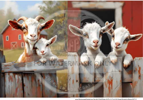 A4 Pick Me Rice Paper DC712 - Decoupage Central