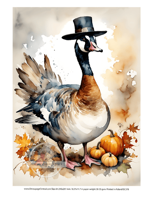 A4 Pilgrim Goose Rice Paper DC378 - Decoupage Central