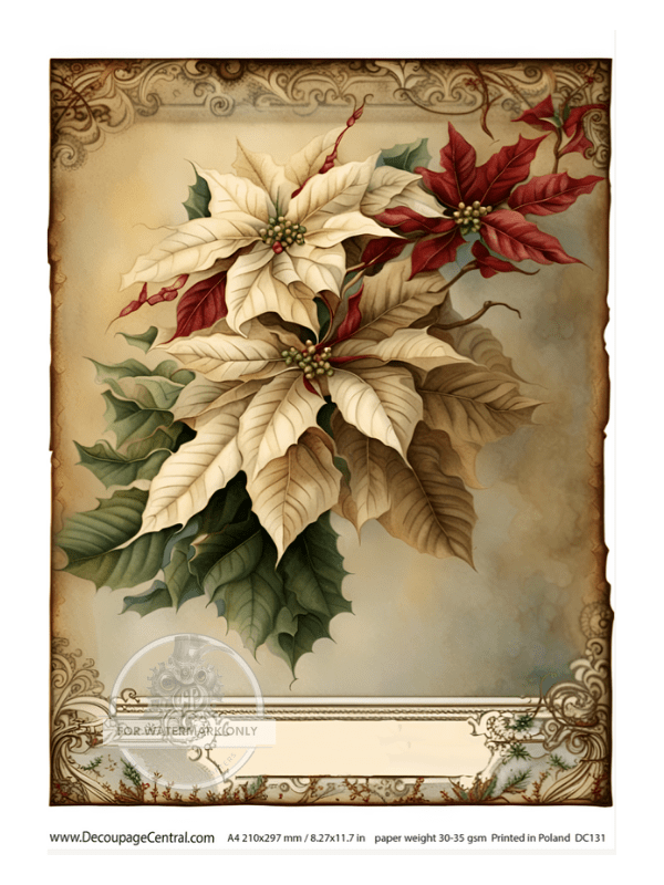A4 Poinsettia Rice Paper DC131 - Decoupage Central
