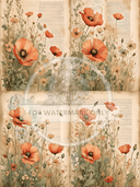 A4 Poppies and Pages Quad Rice Paper DC757 - Decoupage Central