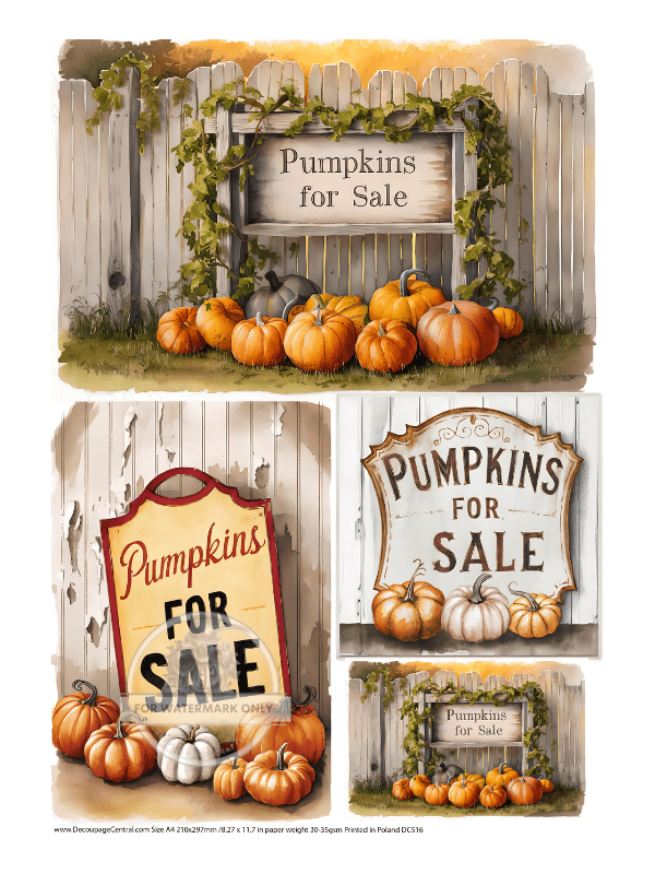 A4 Pumpkins for Sale Trio Rice Paper DC516 - Decoupage Central