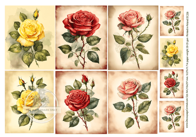 A4 Roses Rice Paper DC226 - Decoupage Central