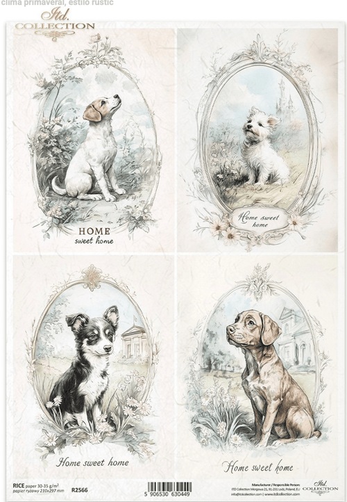 A4 Rustic Vintage Puppy Quad Decoupage Paper R2566 - Decoupage Central