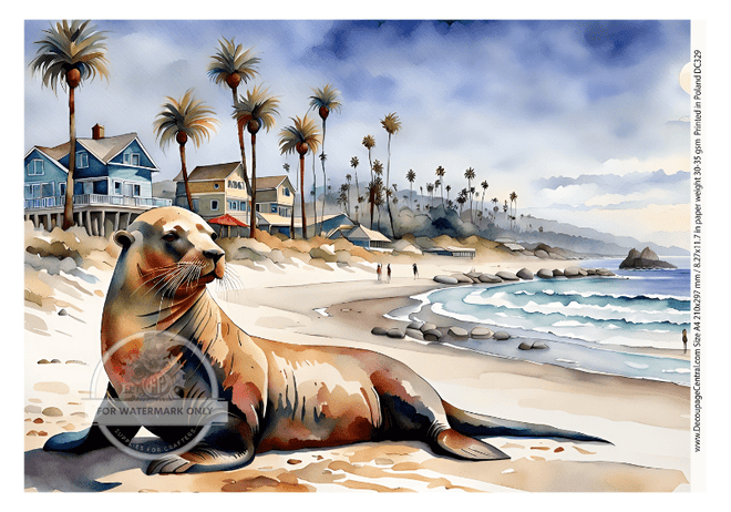 A4 Seal Beach DC 329 - Decoupage Central