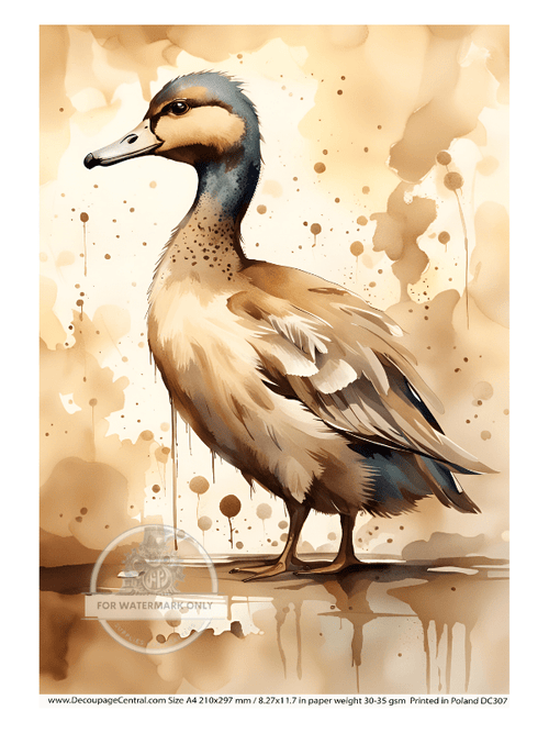 A4 Sepia Art Duck Decoupage Rice Paper DC307 - Decoupage Central