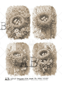 A4 Sepia Bird nest Quads AB 4848 - Decoupage Central
