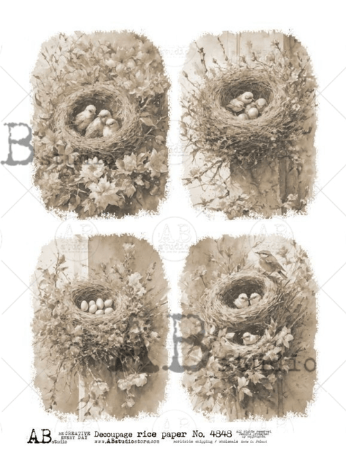 A4 Sepia Bird nest Quads AB 4848 - Decoupage Central