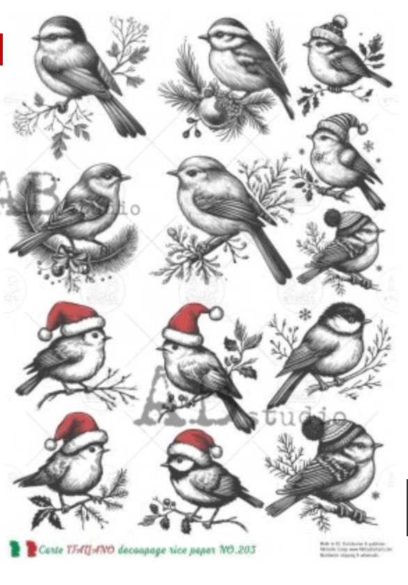 A4 Sketch Christmas Birds Carte Italiano 203 - Decoupage Central