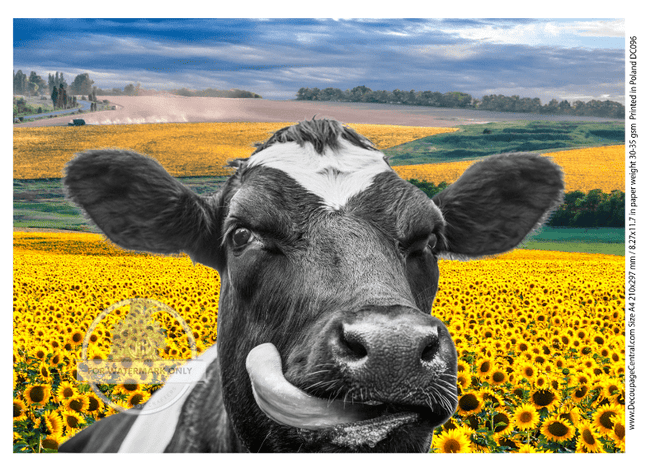 A4 Smell The Flowers Rice Paper DC096 - Decoupage Central