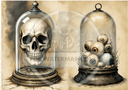 A4 Specimen of Curiosities Rice Paper DC734 - Decoupage Central
