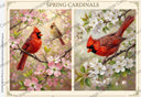 A4 Spring Cardinal Duo Rice Paper DC926 - Decoupage Central