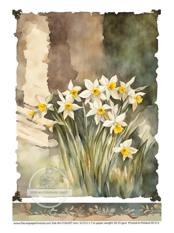 A4 Spring Daffodils Decoupage Rice Paper DC312 - Decoupage Central