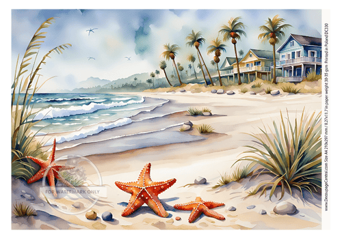 A4 Starfish Paper DC 330 - Decoupage Central