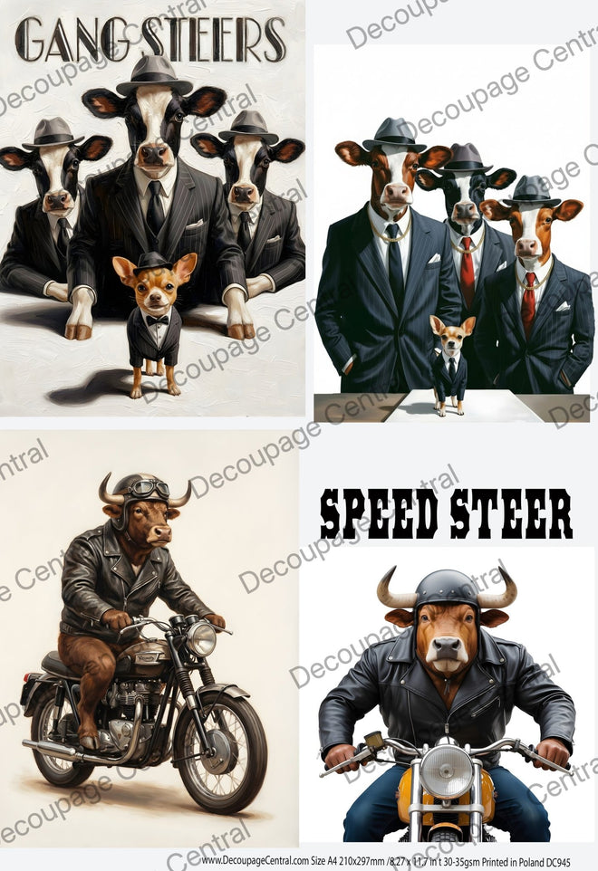 A4 Steer Rice Paper DC945 - Decoupage Central