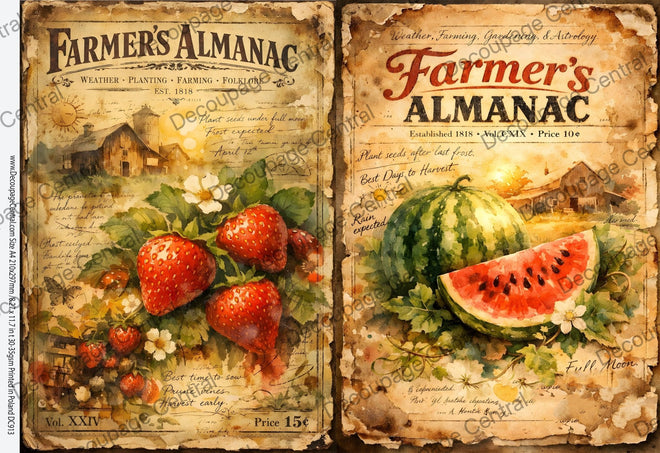 A4 Strawberry and Melon Almanac Duo Rice Paper DC913 - Decoupage Central