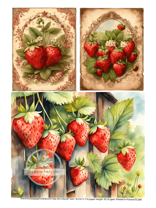 A4 Strawberry Trio Decoupage Rice Paper DC260 - Decoupage Central