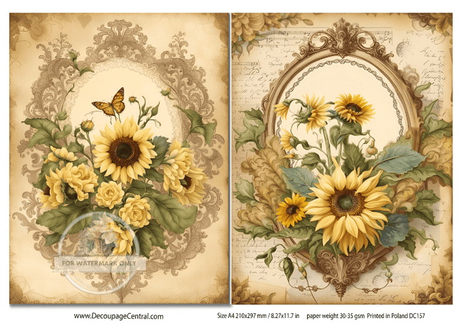 A4 Sunflower Duo Rice Paper DC157 - Decoupage Central