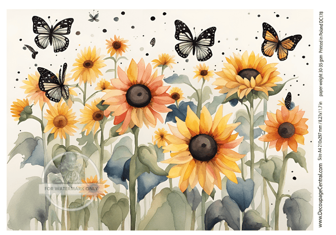 A4 Sunflowers and Butterflies Rice Paper DC178 - Decoupage Central