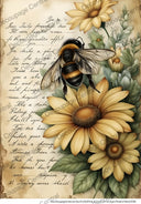 A4 Sunflowers & Love Letters Rice Paper DC905 - Decoupage Central