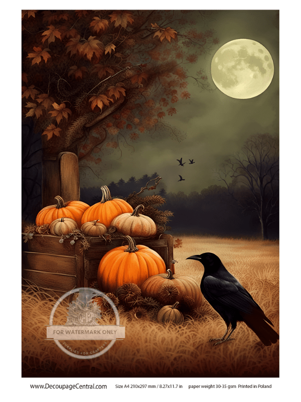 A4 The Crow Rice Paper DC106 - Decoupage Central