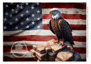 A4 The Eagle Decoupage Paper DC318 - Decoupage Central