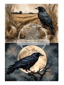 A4 The Halloween Crow Duo Decoupage Rice Paper DC531 - Decoupage Central