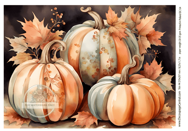 A4 The Last Pumpkin Rice Paper DC154 - Decoupage Central