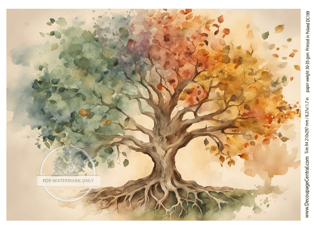 A4 Tree of Seasons Rice Paper DC199 - Decoupage Central