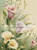 A4 Watercolor Calla Lily Quad Rice Paper DC639 - Decoupage Central
