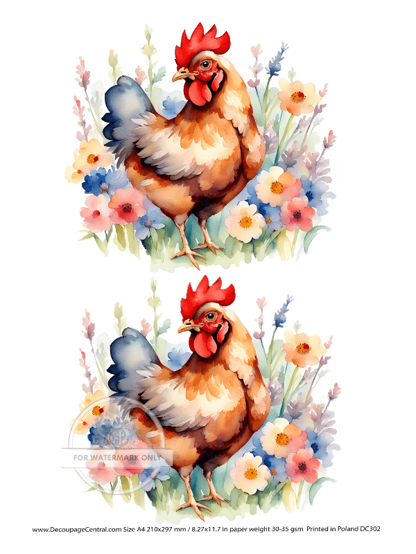 A4 Watercolor Hen Duo Decoupage Rice Paper DC302 - Decoupage Central