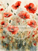 A4 Watercolor Poppies Rice Paper DC645 - Decoupage Central