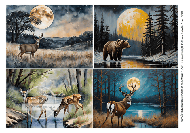 A4 When Nature Calls Rice Paper DC339 - Decoupage Central