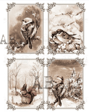 A4 Winter Birds SEPIA Rice Paper, AB Studios 2053 - Decoupage Central